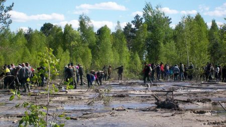 "Бурштинова лихоманка" загрожує Україні екологічною катастрофою