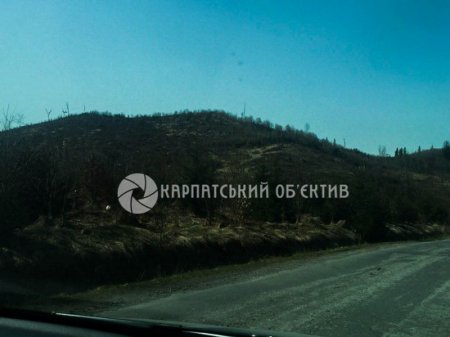 Голі гори та сміття – реалії Українських Карпат