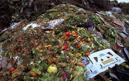 Харчові відходи спричиняють глобальне потепління — екологи