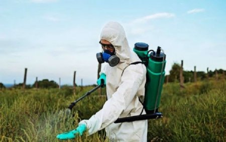 Увага! Як в умовах карантину отримати допуск (посвідчення) на право здійснення робіт, пов’язаних з пестицидами та агрохімікатами? 